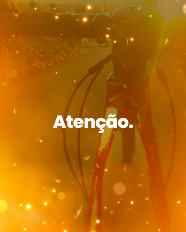 Nova.Arte-ramosPrancheta-6 (1)